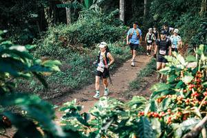 BIB: 
                            <button type="button" onclick="openModal(25838408)" class="btn btn-primary btn-sm float-right btn-popup" data-toggle="modal" data-target=".modal-high-quality">
                        <i class="fas fa-shopping-cart"></i> Add to Cart
                    </button>
                                            <button type="button" onclick="isThisMe(25838408, true)" class="btn btn-success btn-sm float-right btn-popup btn-isme hidden" data-toggle="tooltip" data-placement="bottom" title="นี่คือรูปของคุณใช่ไหม คลิกที่นี่เพื่อเอาเข้าอัลบั้ม">
                        <i class="fas fa-plus"></i> Add to album
                    </button>
                    <button type="button" onclick="isThisMe(25838408, false)" class="btn btn-warning btn-sm float-right btn-popup btn-isnotme hidden">
                        <i class="fas fa-ban"></i> Remove from album
                    </button>